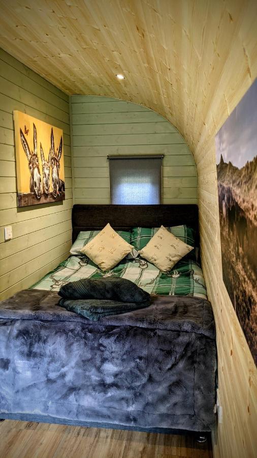 הוילה הוליוול Emlyn'S Coppice - Luxury Woodland Glamping מראה חיצוני תמונה