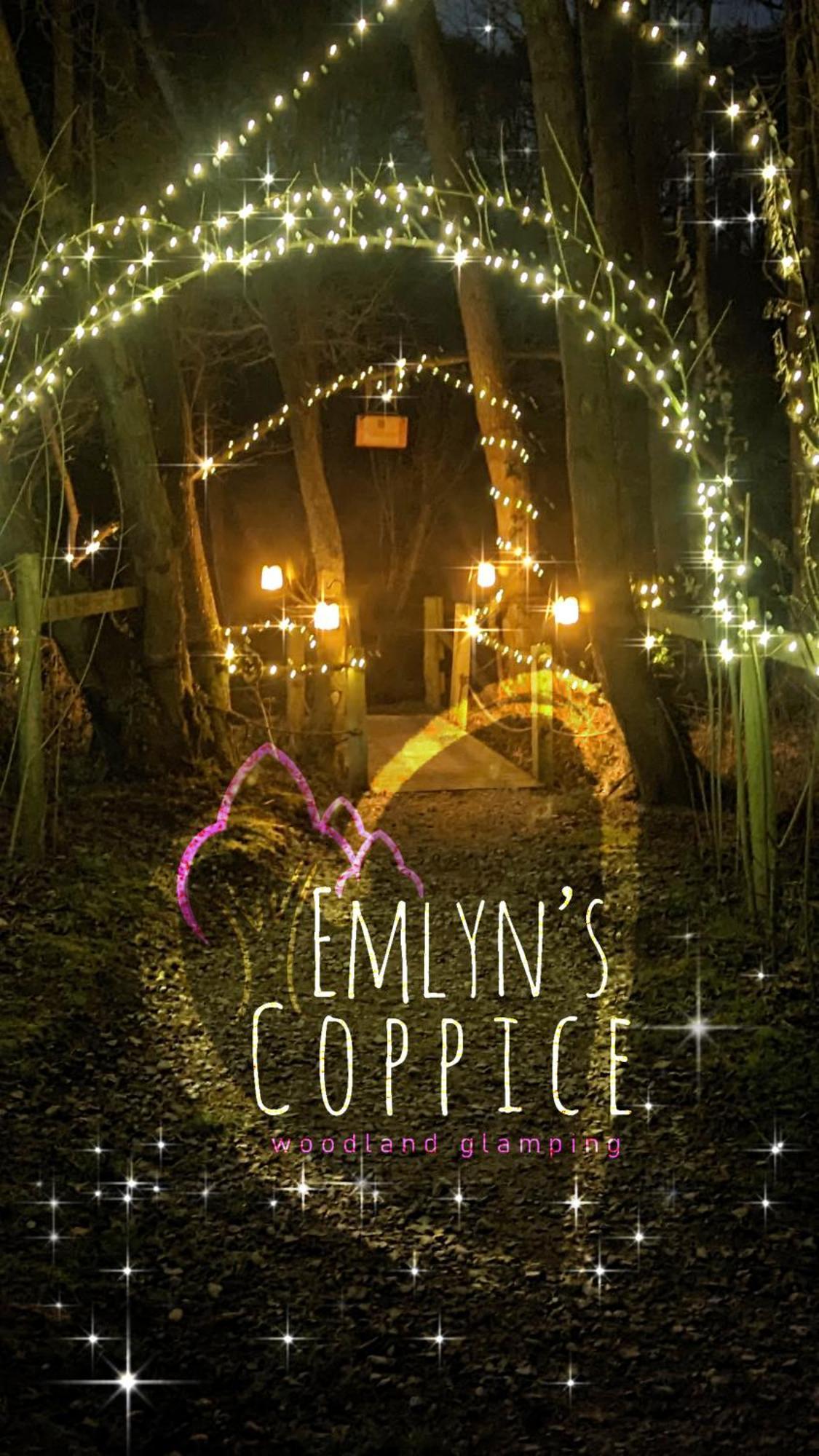 הוילה הוליוול Emlyn'S Coppice - Luxury Woodland Glamping מראה חיצוני תמונה